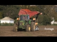 Tomato Harvest 6 1530